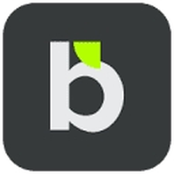 bigbet logo