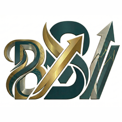 bmv consulting