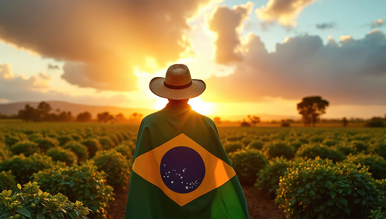 brazil-agriculture