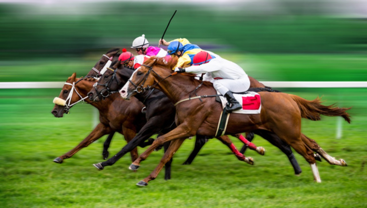 Maryland matches Churchill Downs’ $85m offer to acquire Preakness IP rights