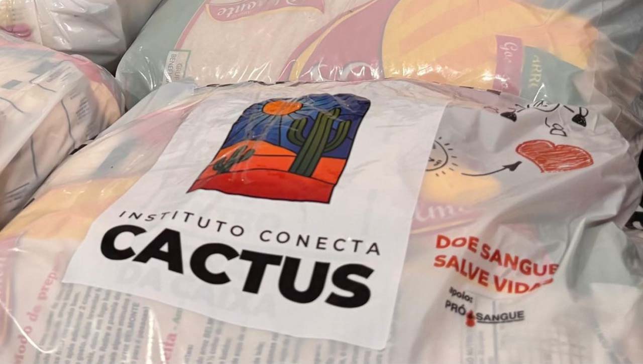 Conecta Cactus