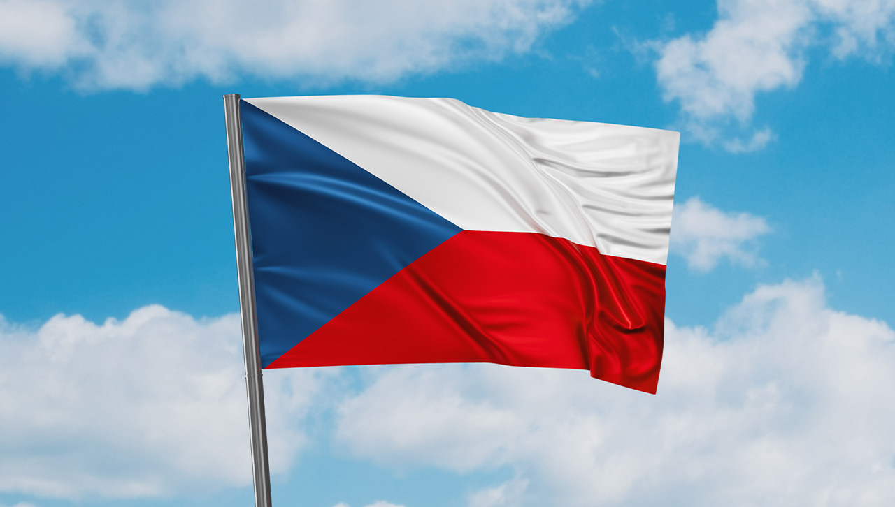 Czech Republic H1 Turnover