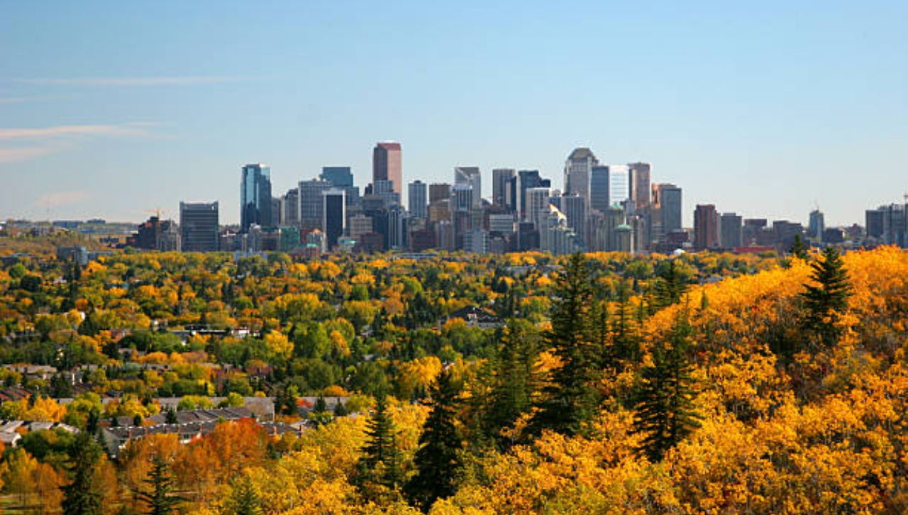 Entain Alberta