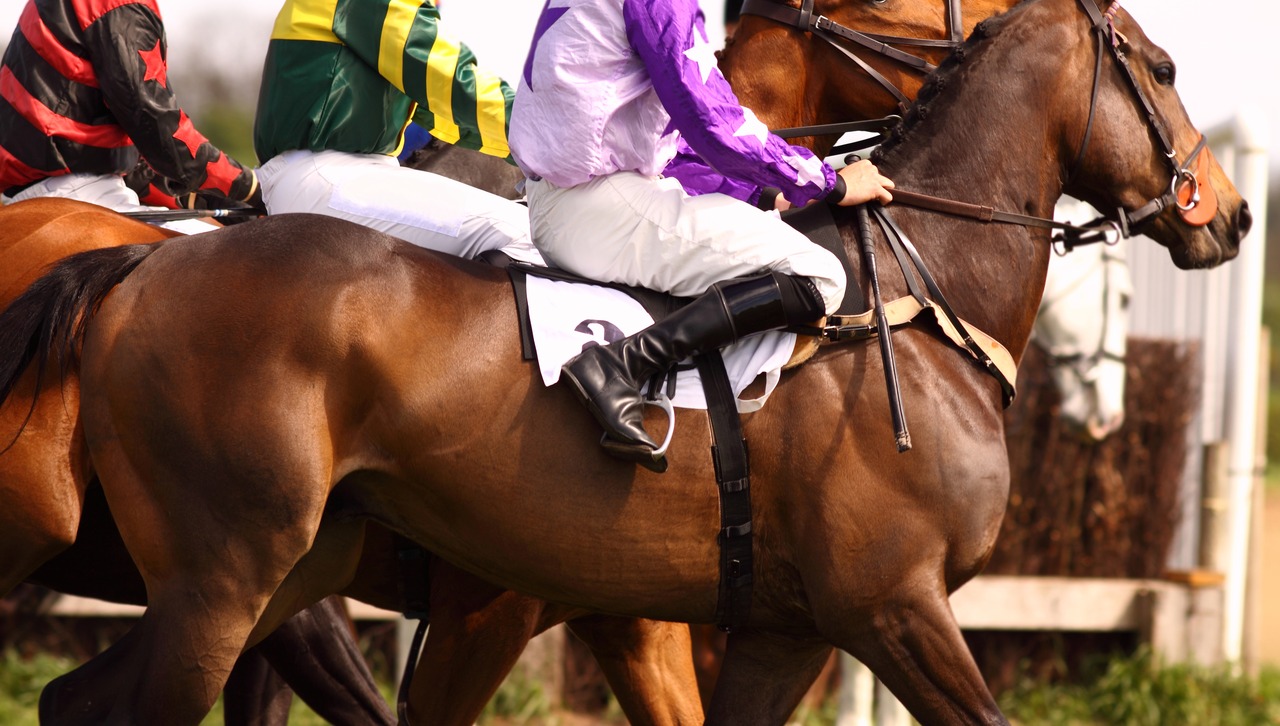 Name-driven betting & Westminster interest: The industry's Grand National talking points