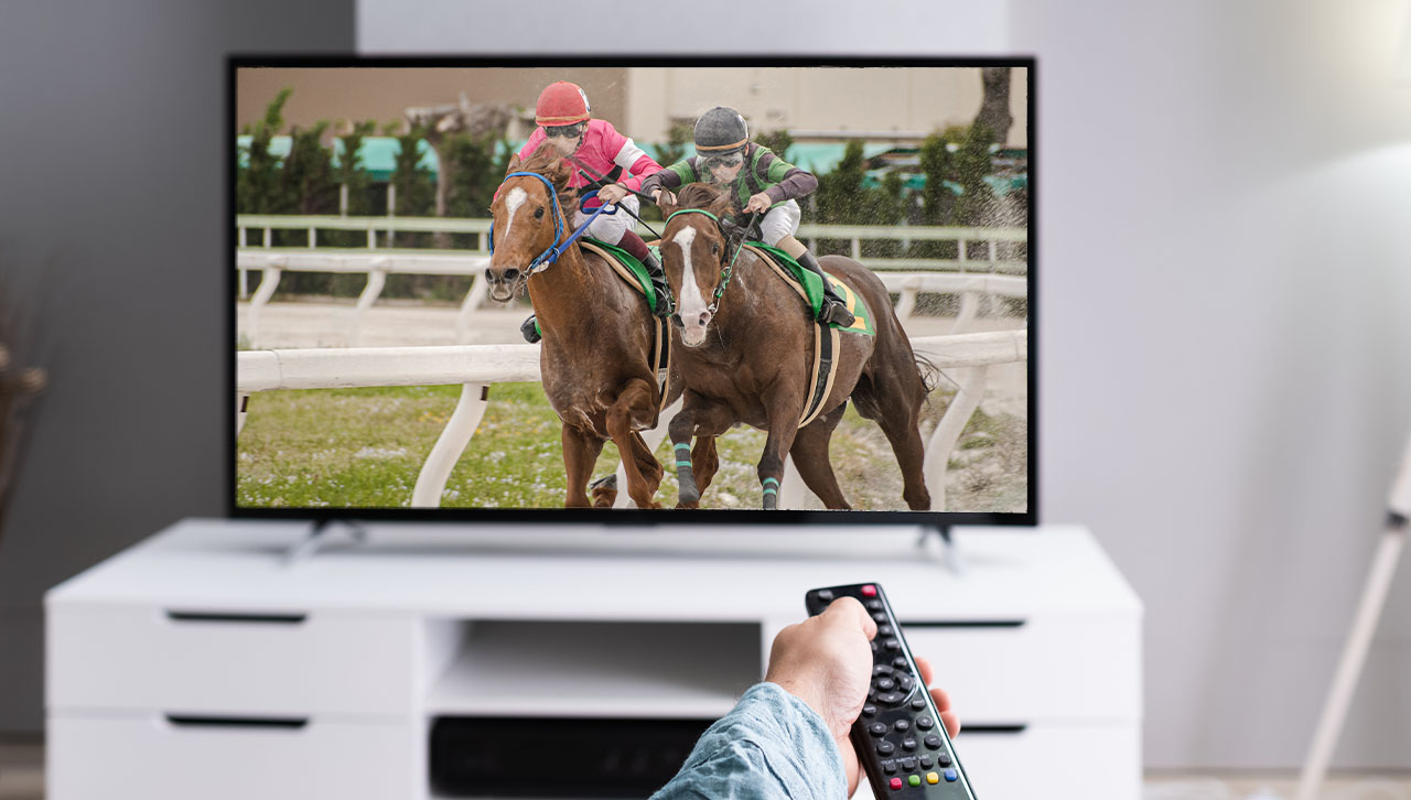 horse-racing-content