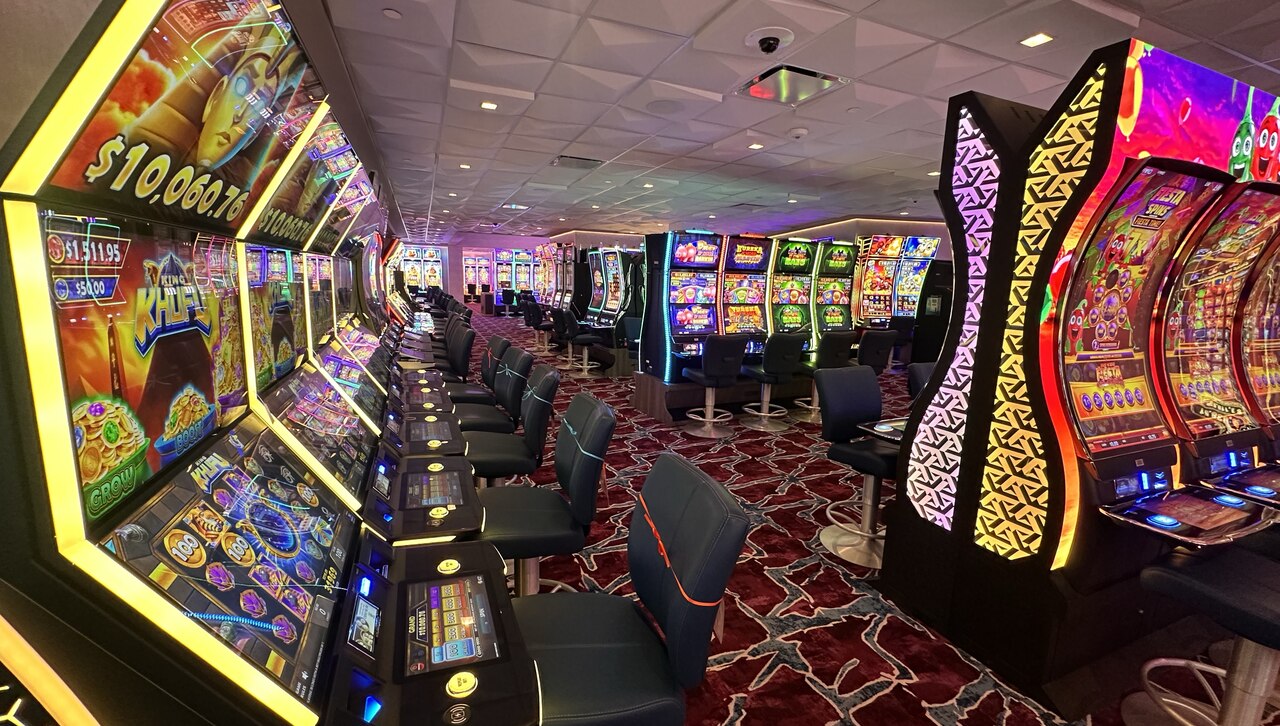 palms-4-1788366256