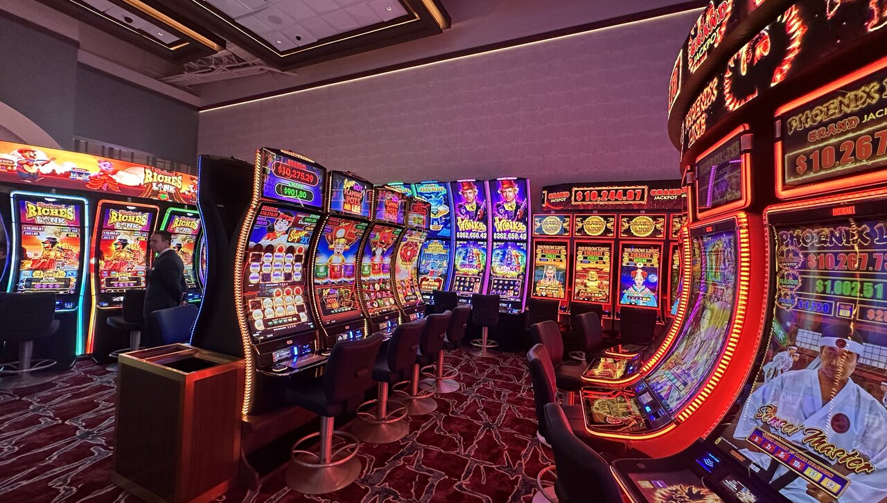 palms-6-1788366289