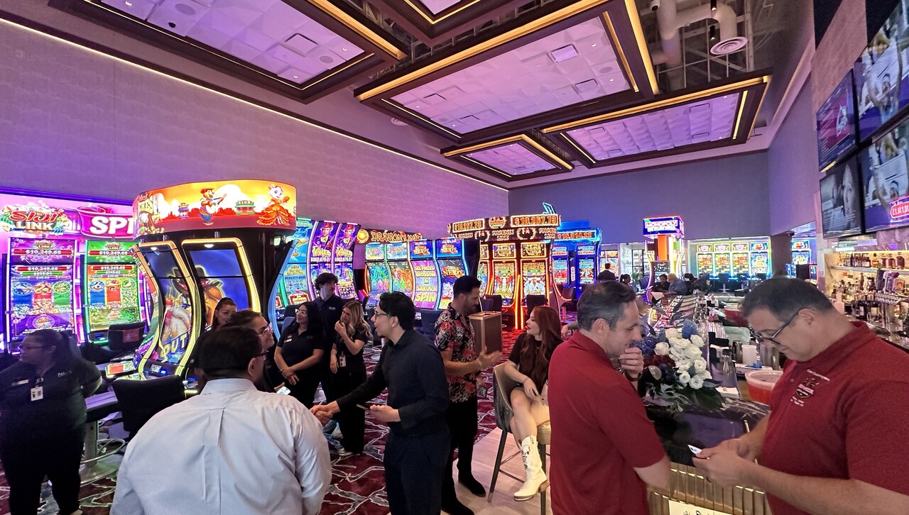 palms-7-1788366312