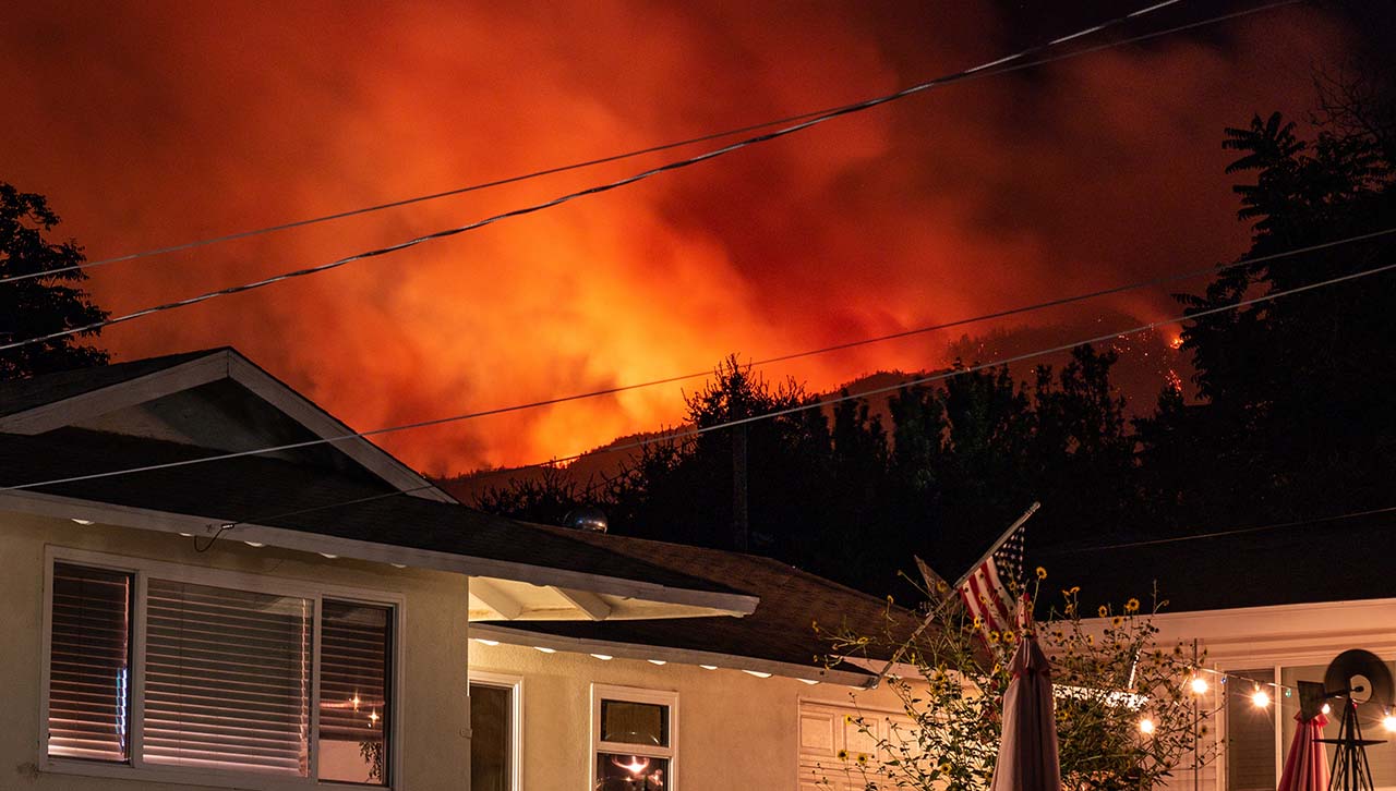 wildfire-bets
